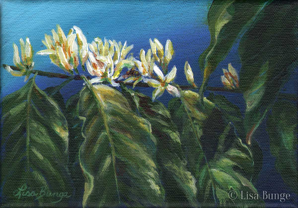 Painting of Kona coffee flowers