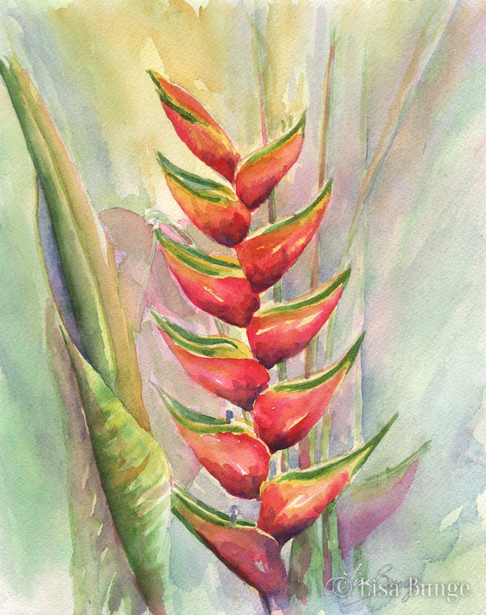 Watercolor painting of heliconia in Hawaii
