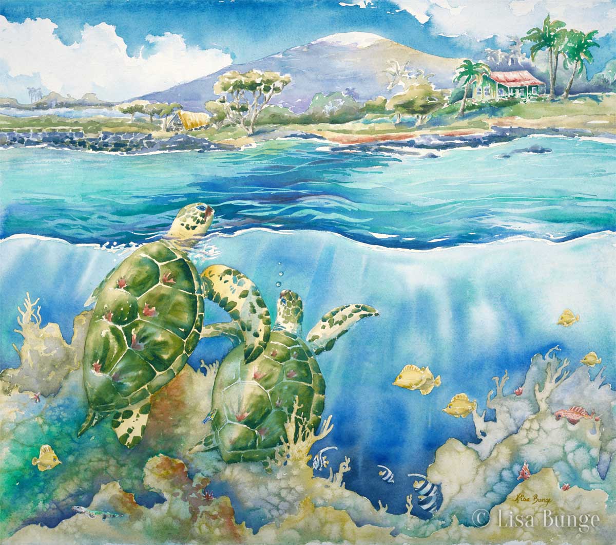 Lisa Bunge Paintings Of Hawaii