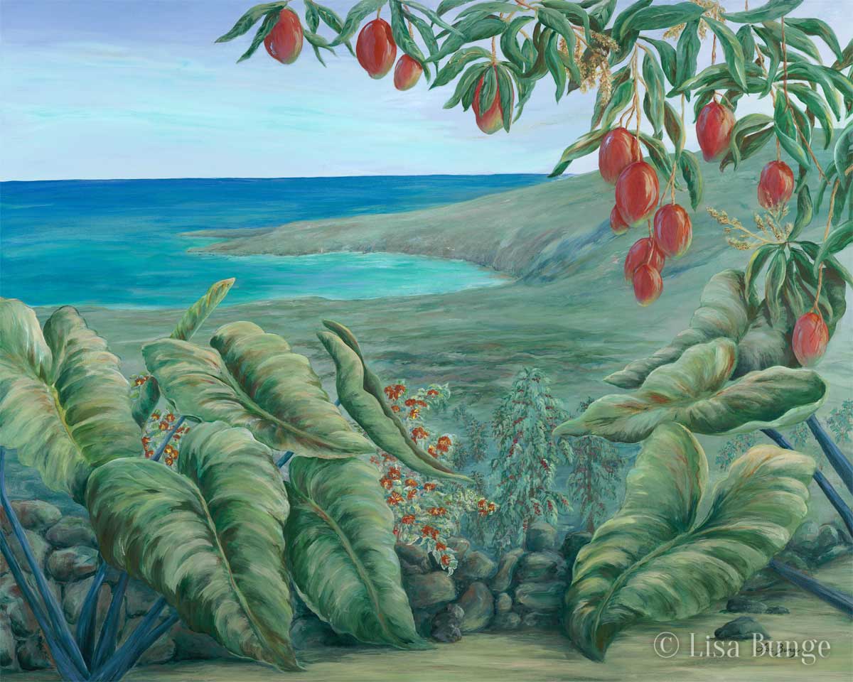 Looking toward the Captain Cook monument over Kealakekua Bay