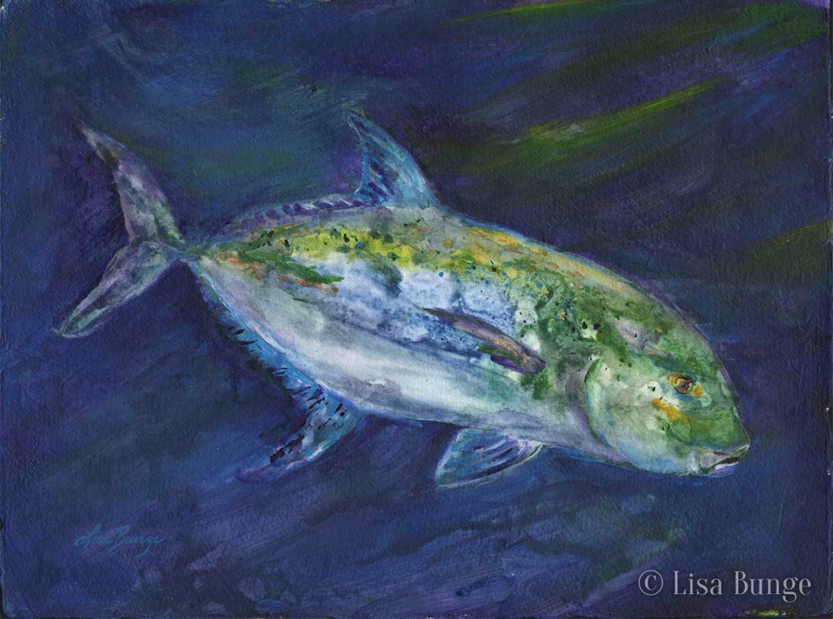 A Omilu fish swims past in this painting