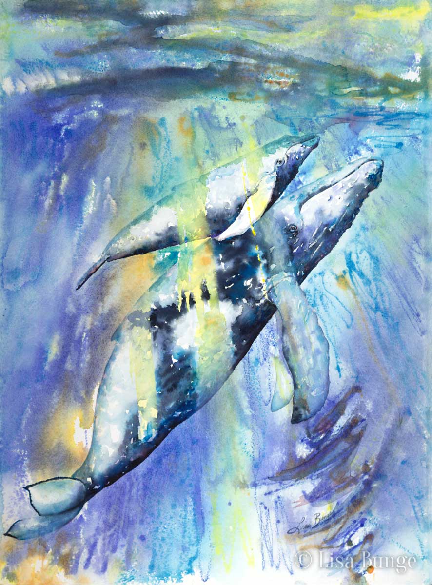 A mother humpback whale and her calf underwater